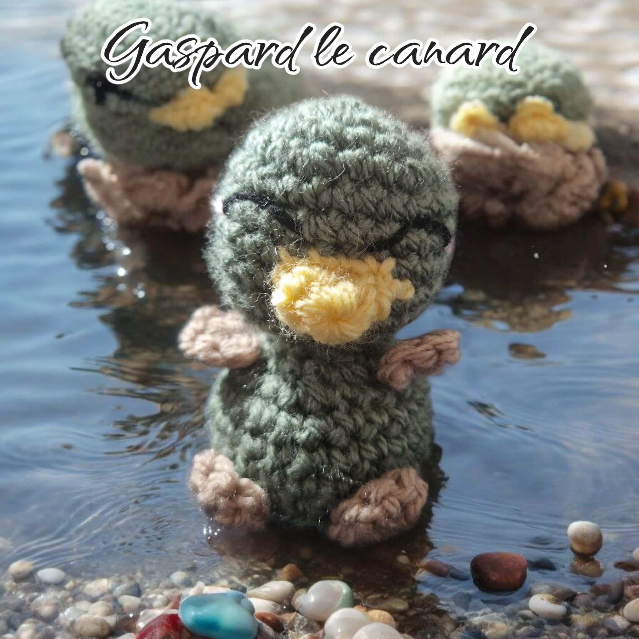 Oscar l’ours