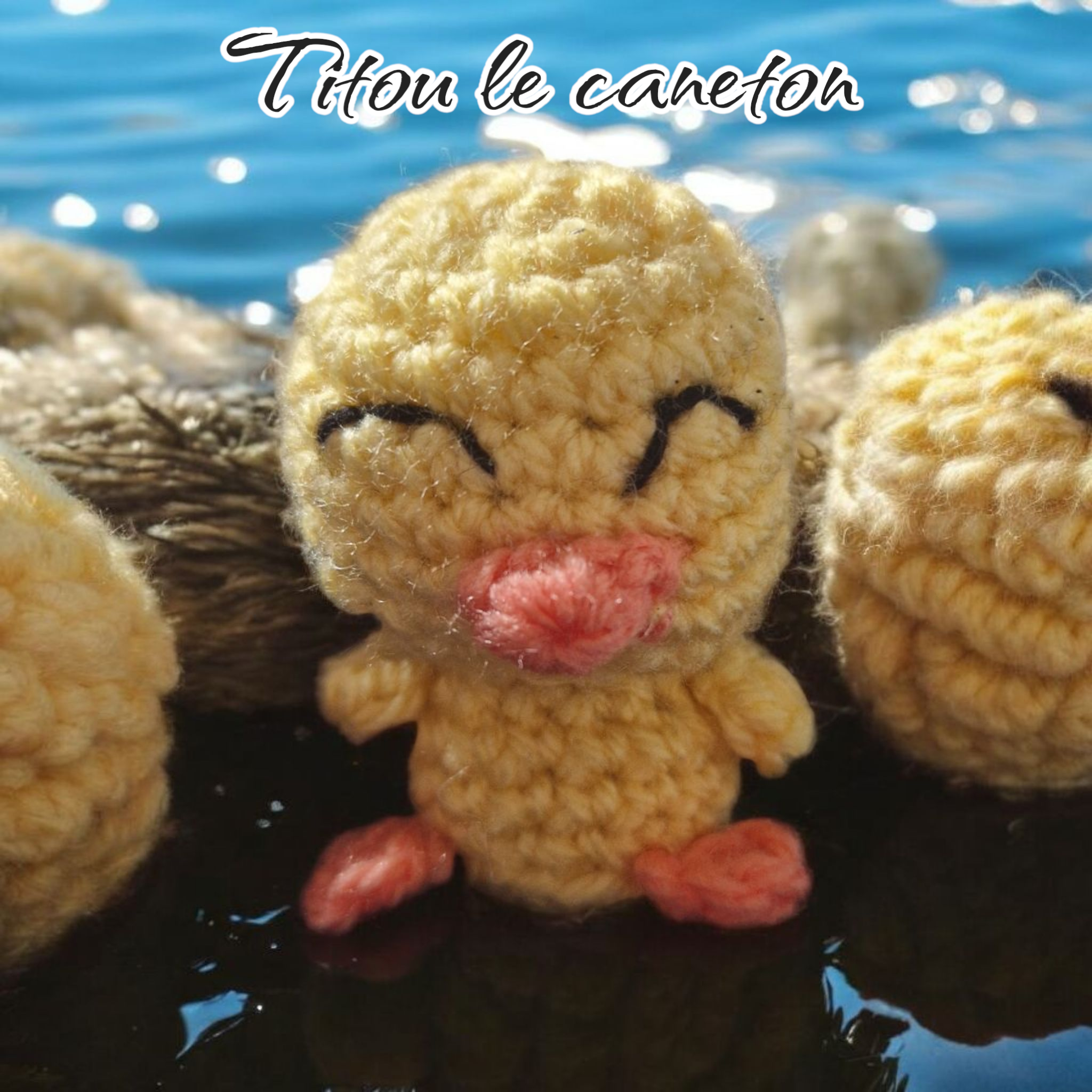 Oscar l’ours