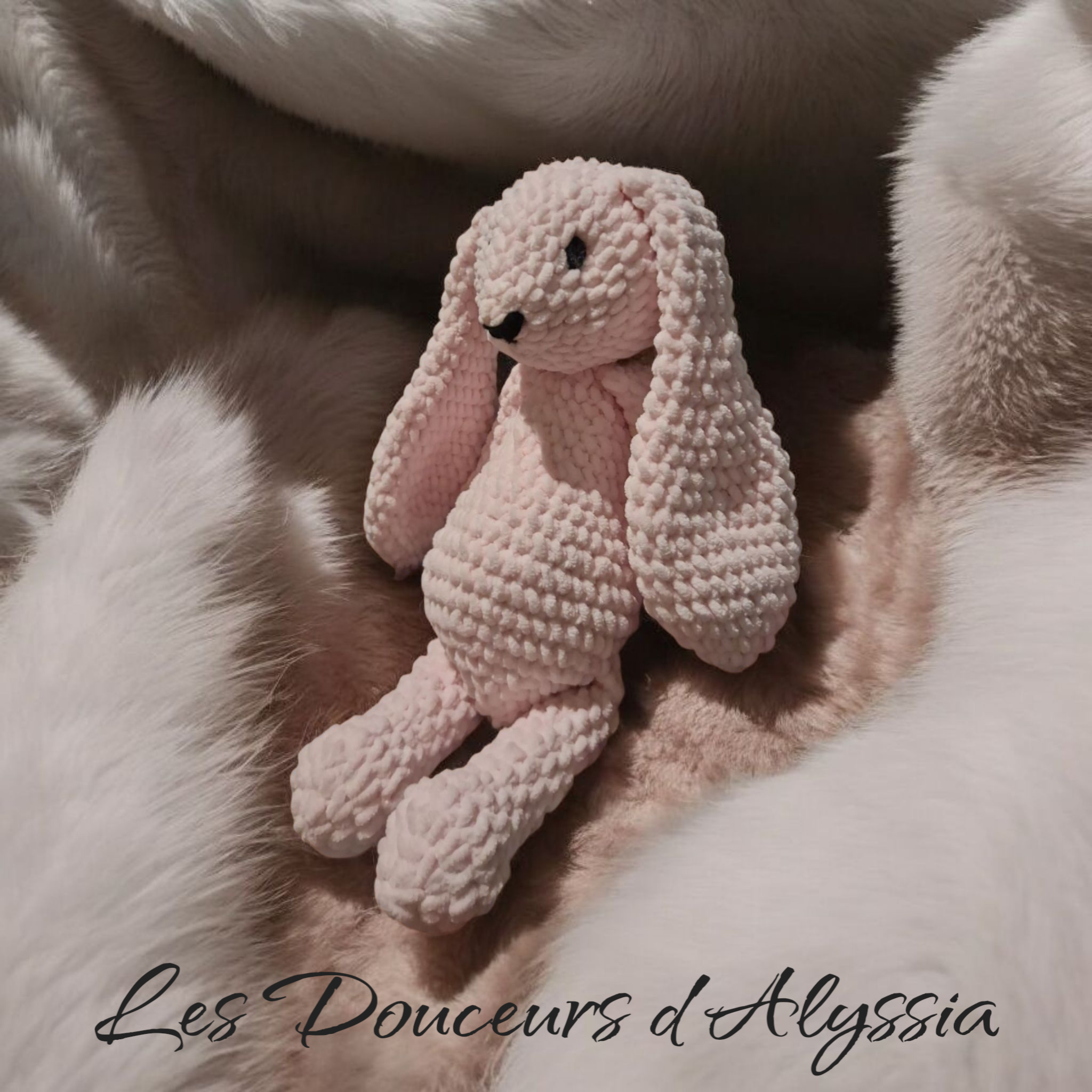 Oscar l’ours